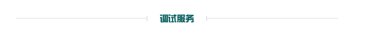 調試服務
