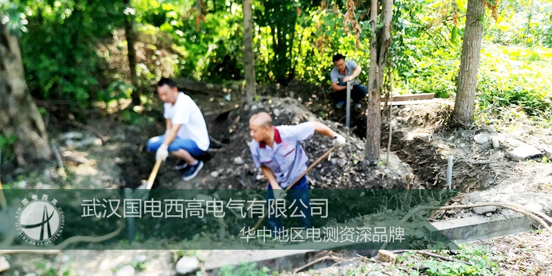 國電西高