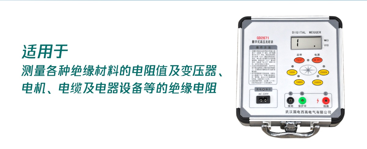 國電西高