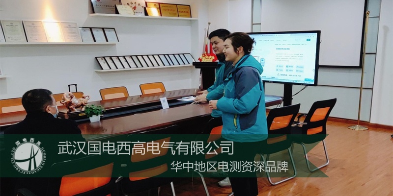 珠?？蛻羯W臨國電西高參觀考察局部放電測試設備