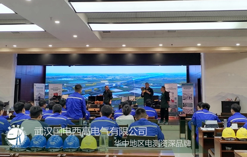 國電西高