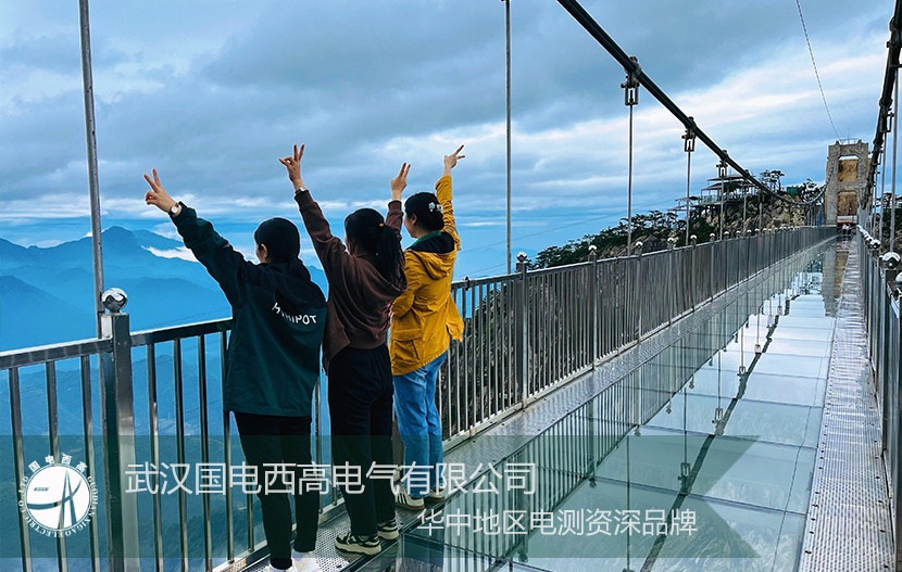 國電西高